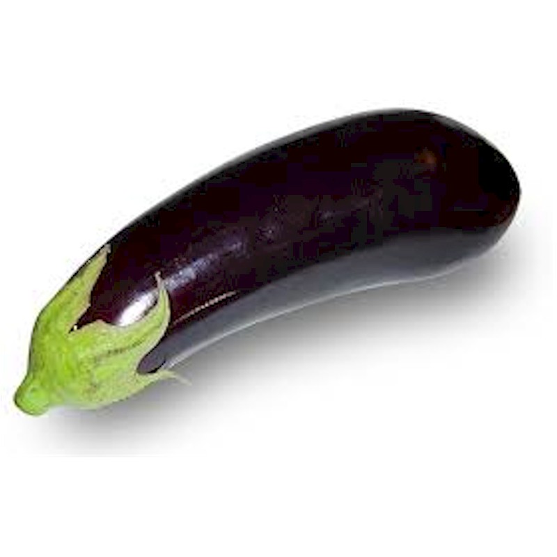 Aubergine Baluroi