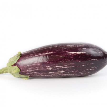 Aubergine Lydia