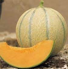 Melon Amigo