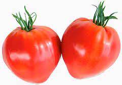 Tomate Cauraline