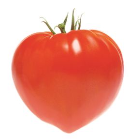 Légumes et potager