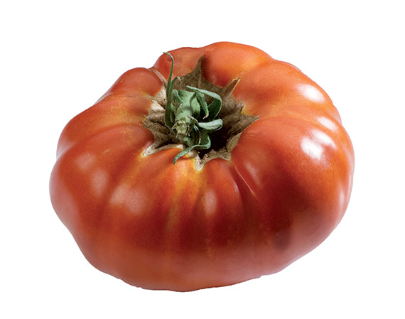 Tomate Russe Rouge