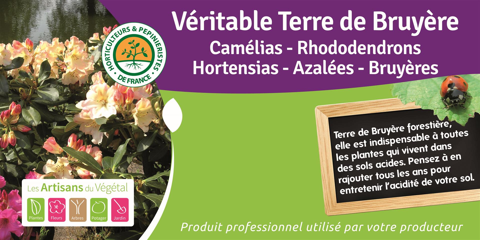 Terreaux professionnels